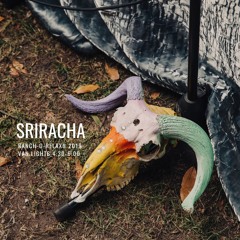 Sriracha ⁕ Rancho-O-Relaxo Autumn Gathering 2019