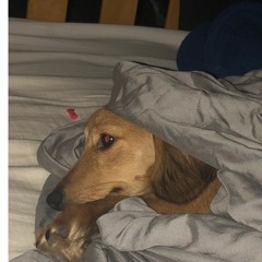 for tori's ears cause she's appreciative