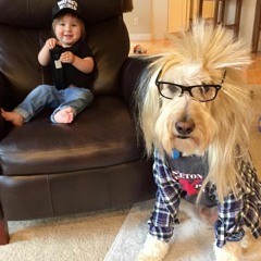 Okcoolsongbro Short (2)