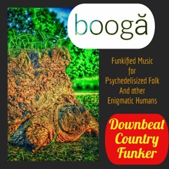 Downbeat Country Funker