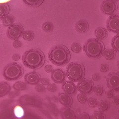 Never Sober Prod. (Luvcrtny)