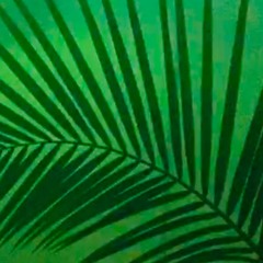 Live @ the House of Mirrors