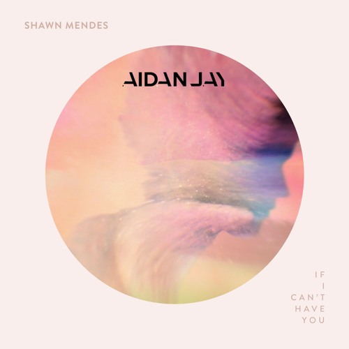 If I Cant Have You - Shawn Mendes (AidanJay Bootleg)