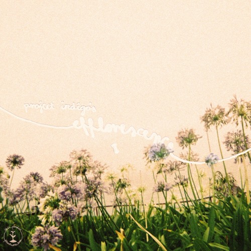 terrace audio - champagne mists