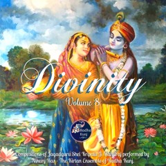 Jai Jai Nandananda Brajchanda (feat. Sowmya Venkatasubramanian)