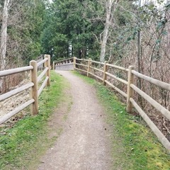 Fugue For String Orchestra