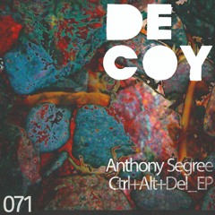 Anthony Segree - 404 Error