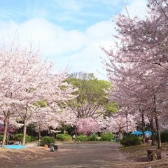 Walk Along Sunny Road