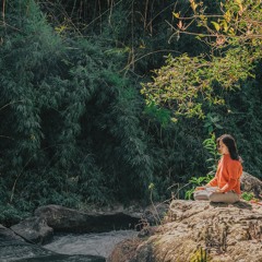 Mindfulness Meditation - Guided 10 Minutes
