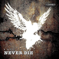BREEZ3R - Never die (Original Mix) FREE DL