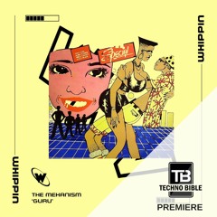 TB Premiere: The Mekanism - I Just Want [Whippin Records]