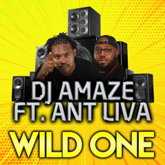 DJ Amaze ft Ant Liva- Wild One (Radio)