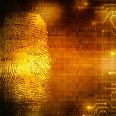 The UCL News Podcast: the Jill Dando Institute and twenty years of crime science