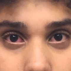 d sav - buss it down