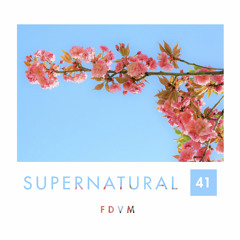 Supernatural 41 by FDVM