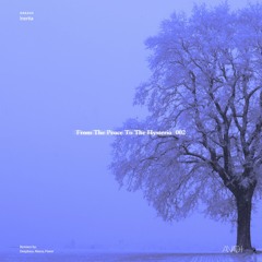 !nertia - Desire Of The Mountain (Deepbass Remix)