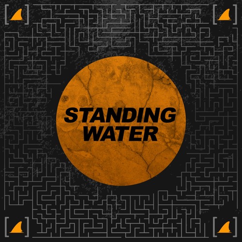 Notixx - Standing Water