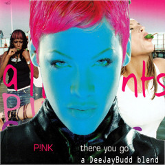 There You Go (DeeJayBudd Remix)