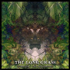 Try and Imagine & Sunrizen - The Long Grass