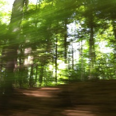 Full Bloom In Spite Of Himself