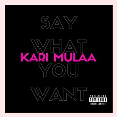 Kari Mulaa - Say What You Want