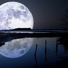 Heartbeat - Lofi Beat