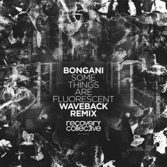 Premiere: Bongani - Some Things Are Fluorescent (Waveback Remix) [Recovery Collective]