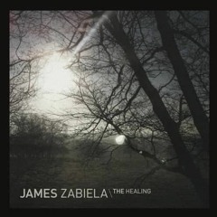 FREE DOWNLOAD: James Zabiela - The Healing (Matias Larrosa, Martin Gardoqui, Samuel Dezus Bootleg)