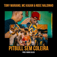 Tony Mariano, Mc Kauan & Ndee Naldinho - Pitbull Sem Coleira (Prod. NOBRU Black)