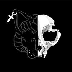 Beautiful Disasters (BLCK WLF Remix)