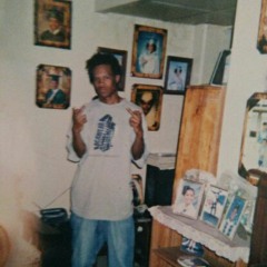 Tales Of The St Bernard