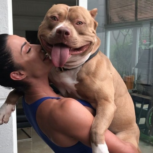 == KEVIN O CHRIS - PITBULLZADO LORATCHO BRADOCK ( DJ THEUS ) #TAMBORZÃO2019