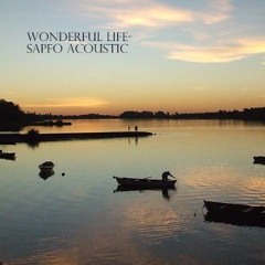 Wonderfull LIfe- Sapfo Acoustic( Katie Melua style)