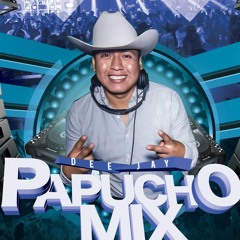 NORTEÑITAS DJ PAPUCHO MIX EL DJ DE LA RAZA