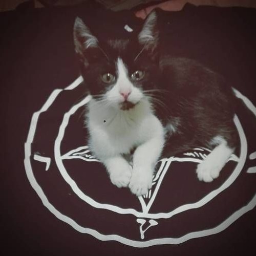 220 - Angel (original mix)