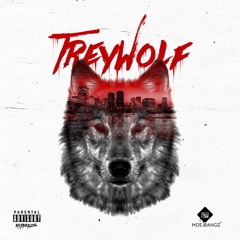 TreyWolf-Calling Off Prod. Moe Bangz
