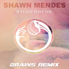 Shawn Mendes - If I Cant Have You (Brains Remix)