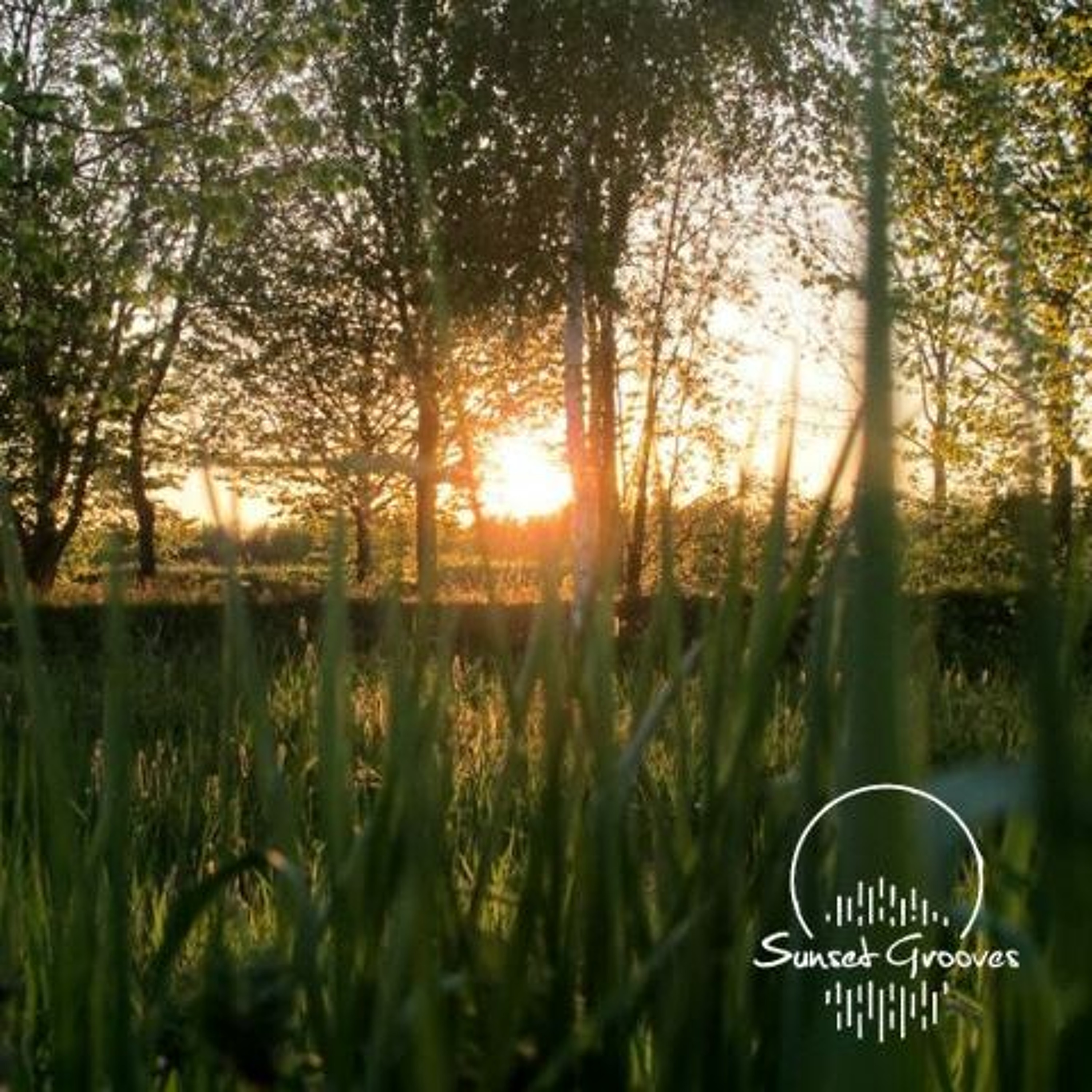 Sunset Grooves Podcast #151 - Andi From The Leipzig Tribe Of Peace