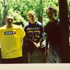 Lilvibe-Playahs Intellect