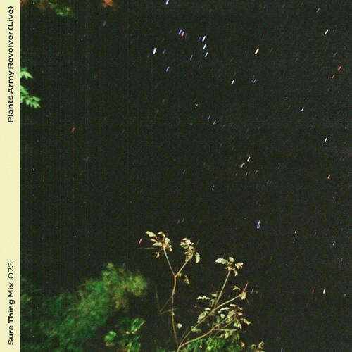 Sure Thing Mix 73: Plants Army Revolver (Live)