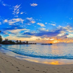 Mc Bin Laden Ӿ putzgrilla Ӿ Kaleo ~ Combate