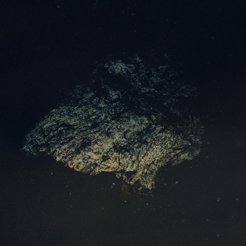 Multicast Dynamics - Oceana