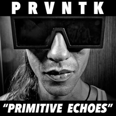 PRIMITIVE ECHOES