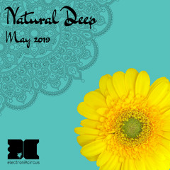 NaturalDeepMay2019