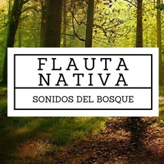 Meditación con Flauta Nativa Americana en el Bosque