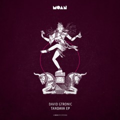 David Gtronic - Tandava (Original Mix)