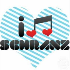 dj mister deve Die Gefühle Haben Schweigepflicht