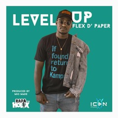 Level Up - Flex D'Paper