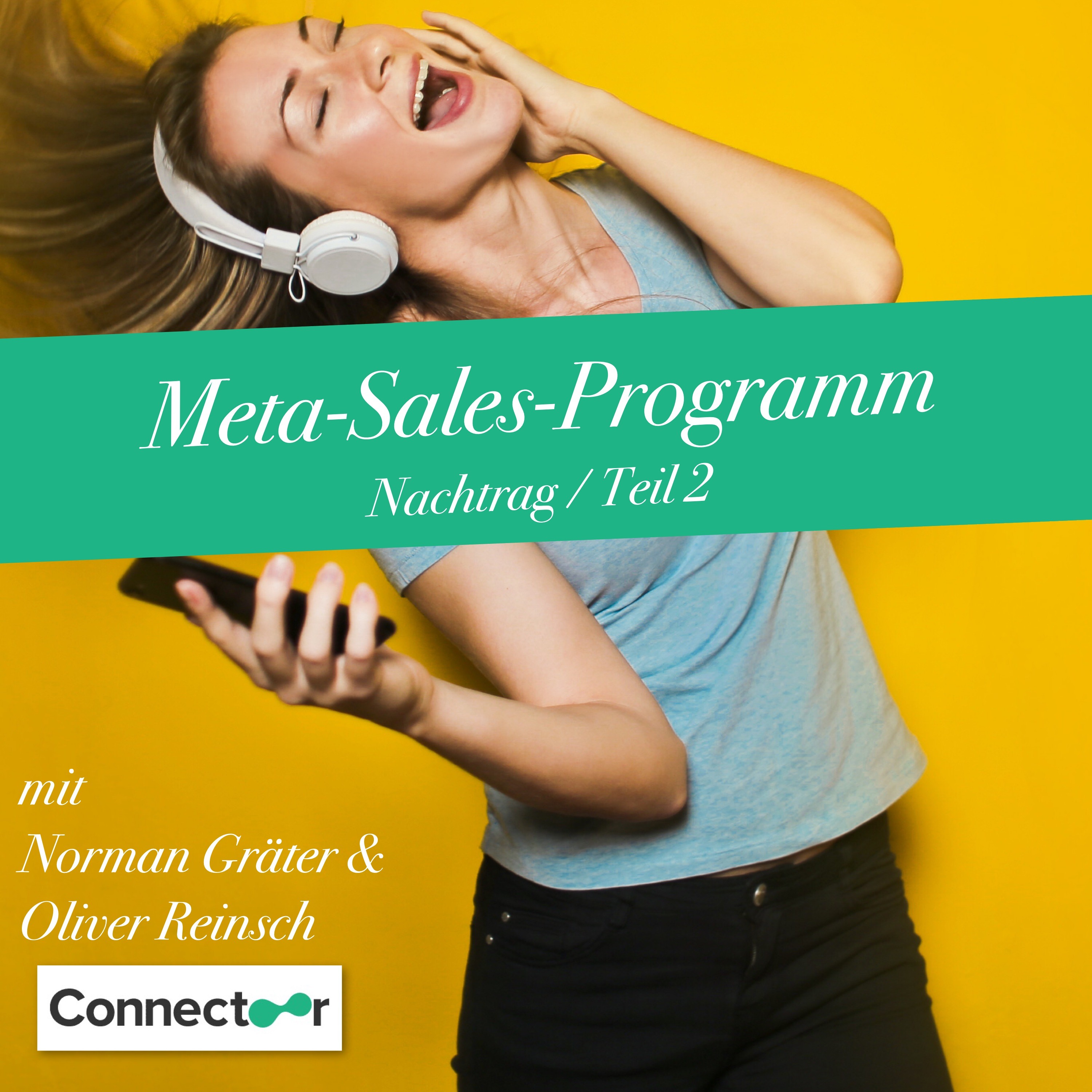 META - Sales - Programm -- Nachtrag -- Teil 2 episode artwork