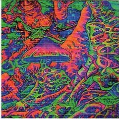 Frightfully Funky Fungus